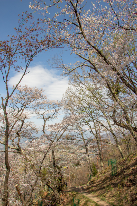 b0244811_21555739.jpg