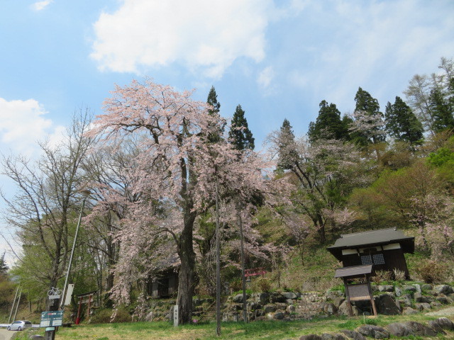 d0351213_07521507.jpg