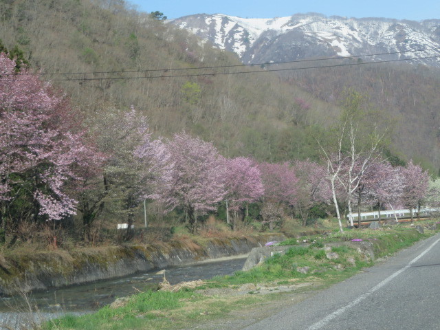 d0351213_07530707.jpg