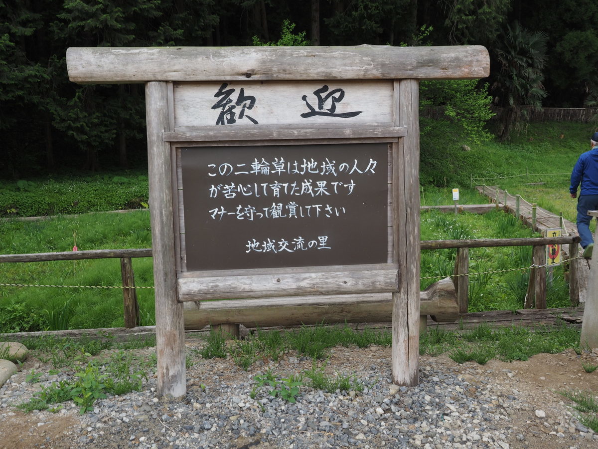 二輪草群生地_c0116915_00180195.jpg
