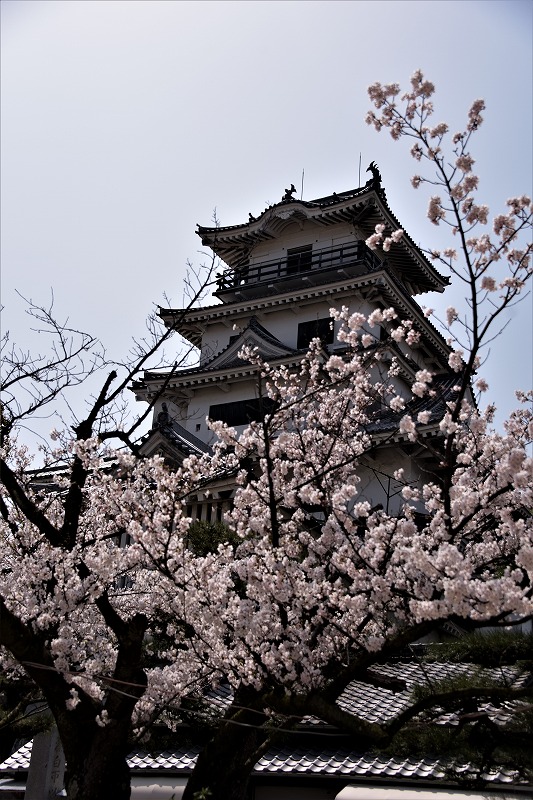 f0373120_9573457.jpg