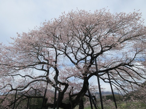 f0149422_13521640.jpg