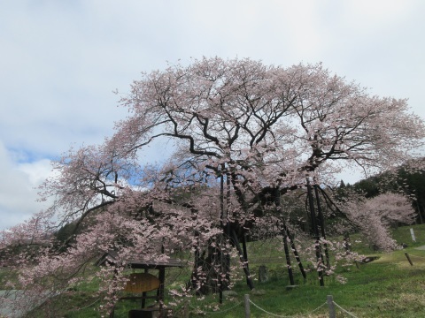 f0149422_13525249.jpg