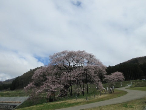 f0149422_13533487.jpg