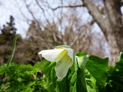 c0204725_2051429.jpg