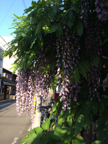 春の小川はさらさら..._e0103327_21514732.jpg