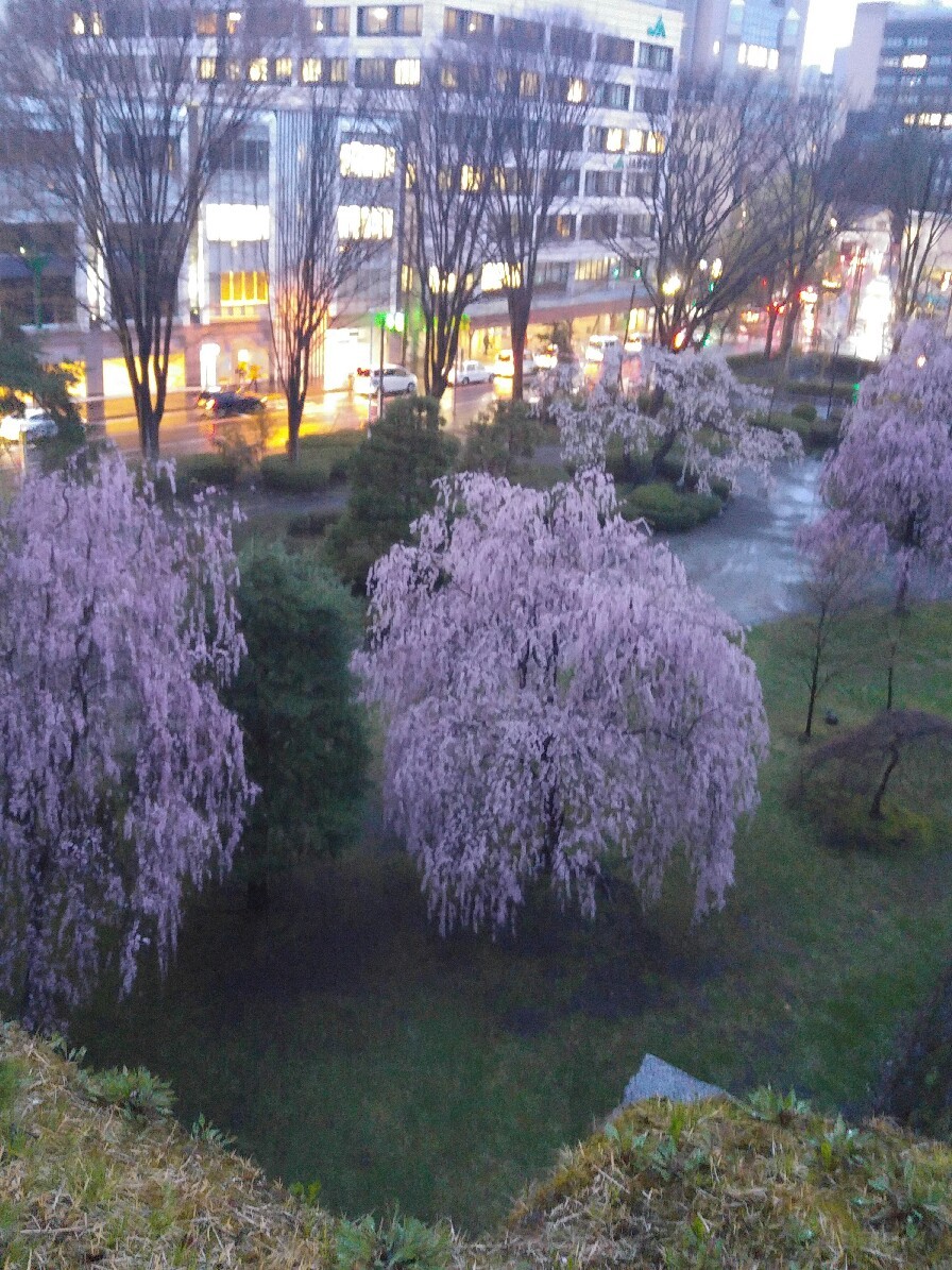 c0124528_20023837.jpg