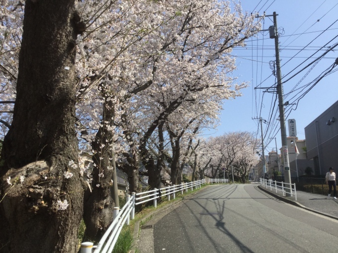 a0155430_22182828.jpeg