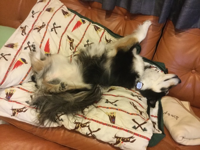 a0155430_22195461.jpeg