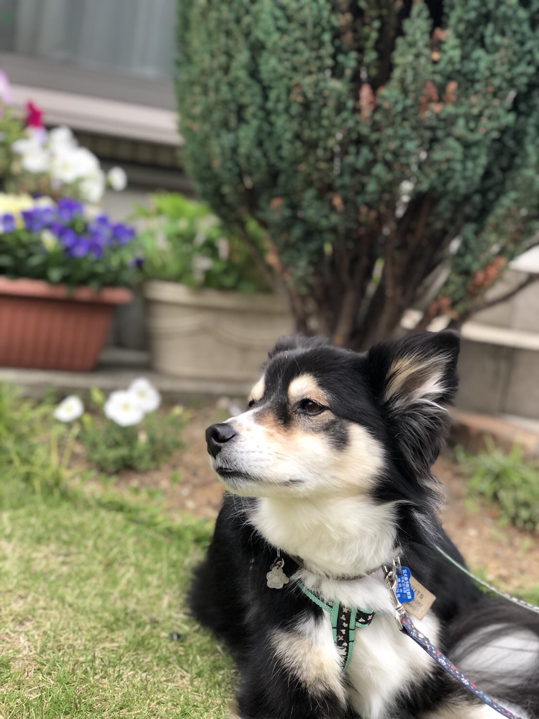 a0155430_22290204.jpeg