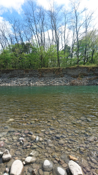 c0133133_17124048.jpg