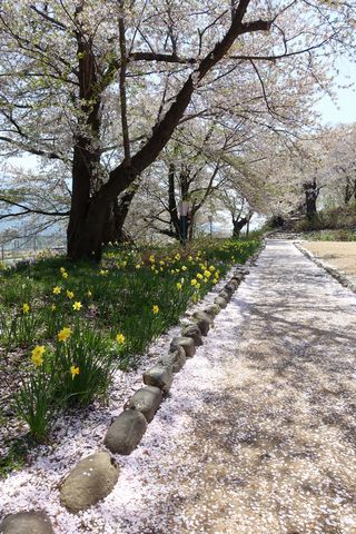 b0042334_015760.jpg