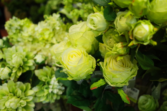 a0287336_1818485.jpg
