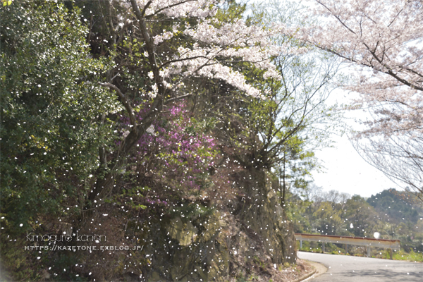 お花見登山②**初めての山で初めてを味わう?!_b0197639_20594884.jpg