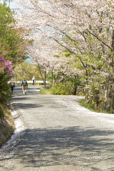 お花見登山②**初めての山で初めてを味わう?!_b0197639_21021778.jpg