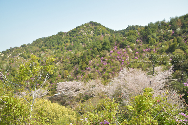 お花見登山②**初めての山で初めてを味わう?!_b0197639_21070354.jpg