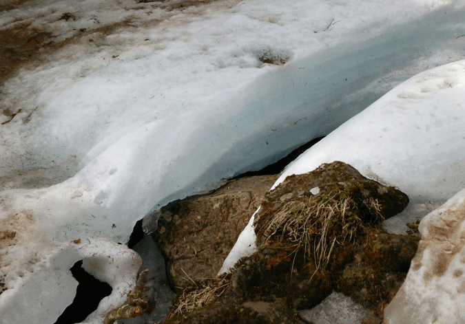 e0371039_8585889.gif