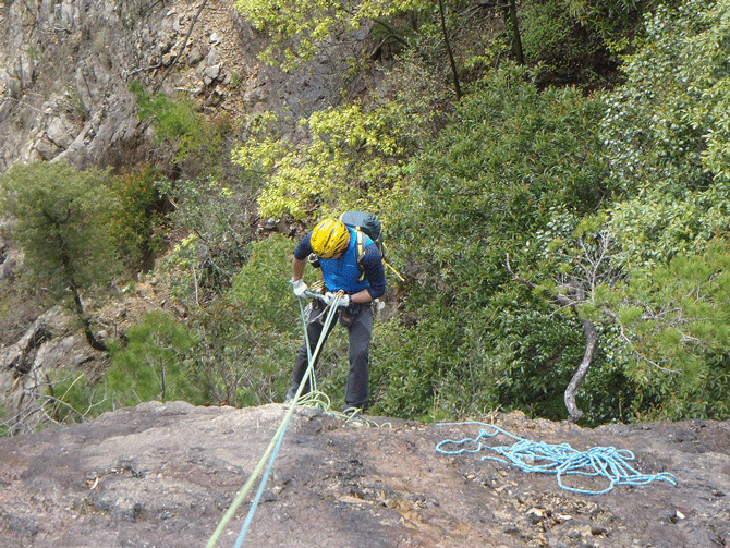 e0371039_964258.gif