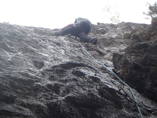 e0371039_965747.gif