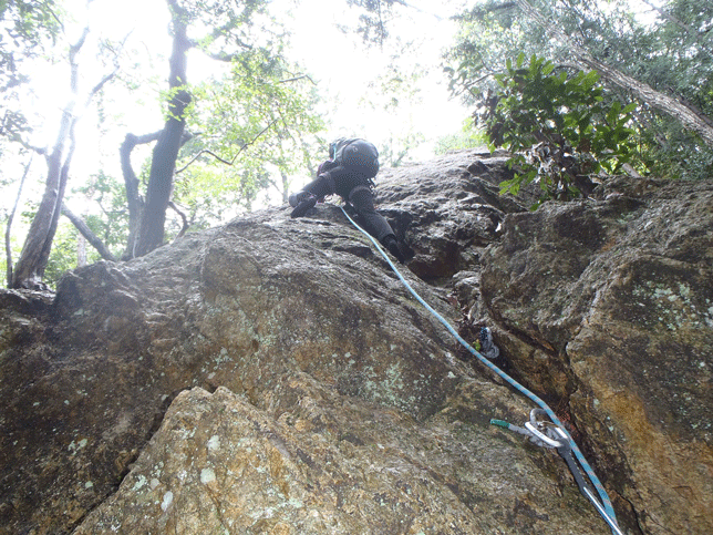 e0371039_97719.gif