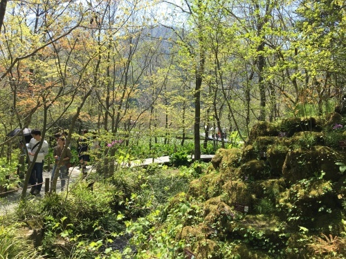 b0330040_06591701.jpeg