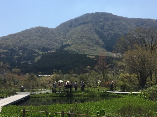 b0330040_06595168.jpeg