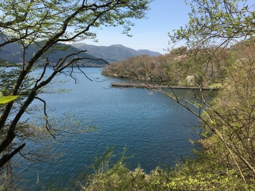 b0330040_07150134.jpeg