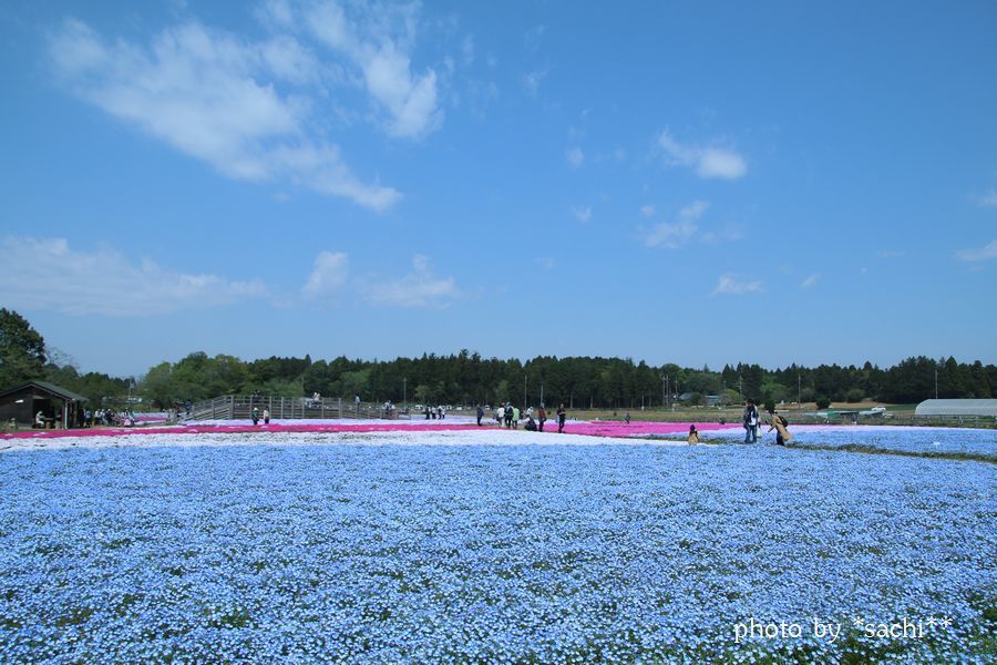 e0375445_09553025.jpg