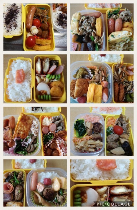 弁当_e0044648_21484132.jpg