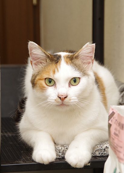 あそぼ〜!_a0028451_20330780.jpg