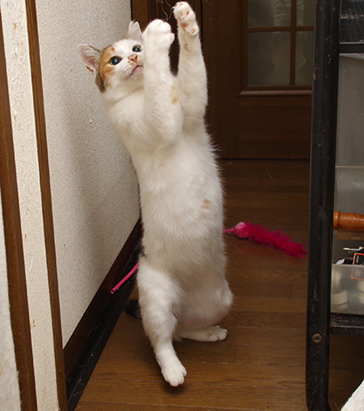 あそぼ〜!_a0028451_20330907.jpg