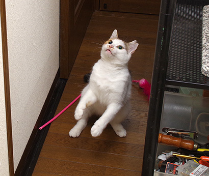 あそぼ〜!_a0028451_20352389.jpg