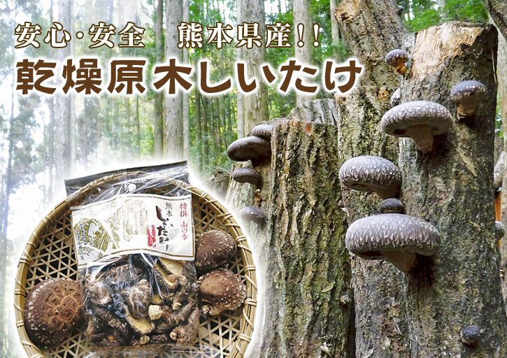 原木しいたけのコマ打ち終了!今年もひとり農業頑張ってます!旬の食材も大好評販売中!_a0254656_18194741.jpg