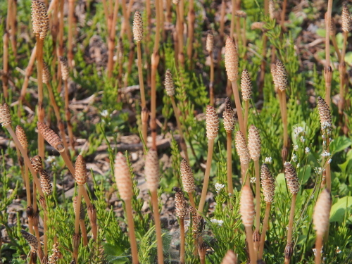 b0335256_09285639.jpg