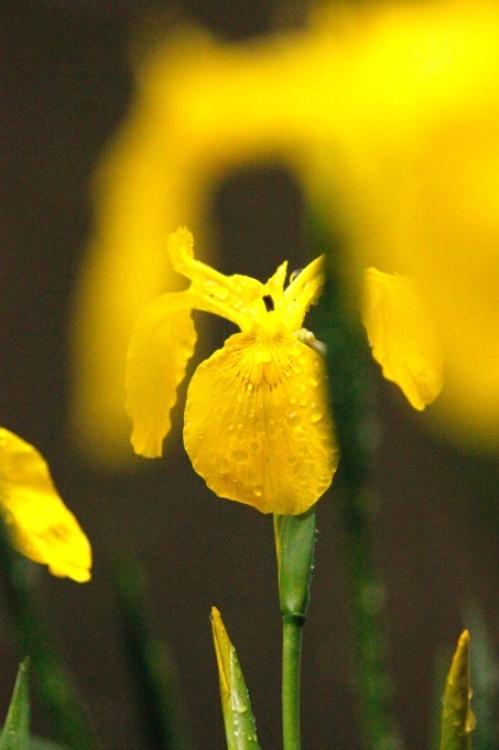 a0248459_14481419.jpg