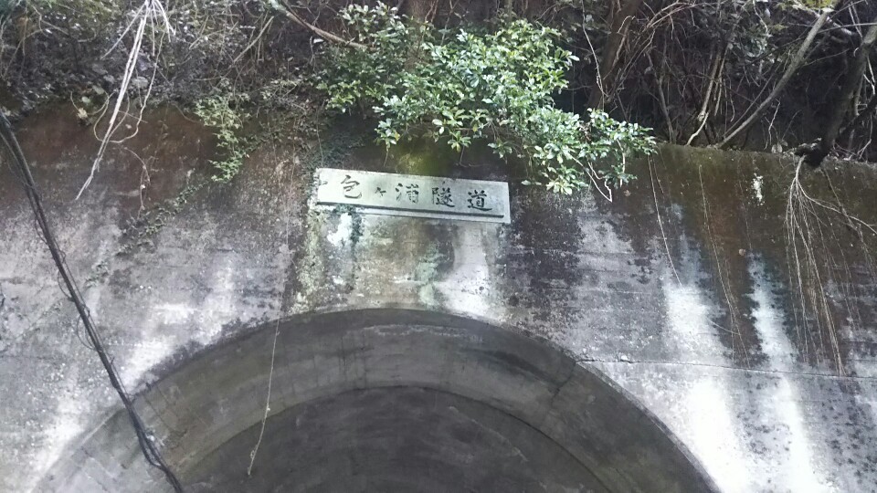 a0060360_12180501.jpg