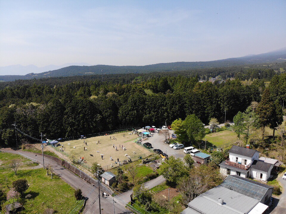c0260264_15461423.jpeg