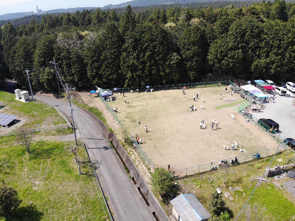 c0260264_16185525.jpeg