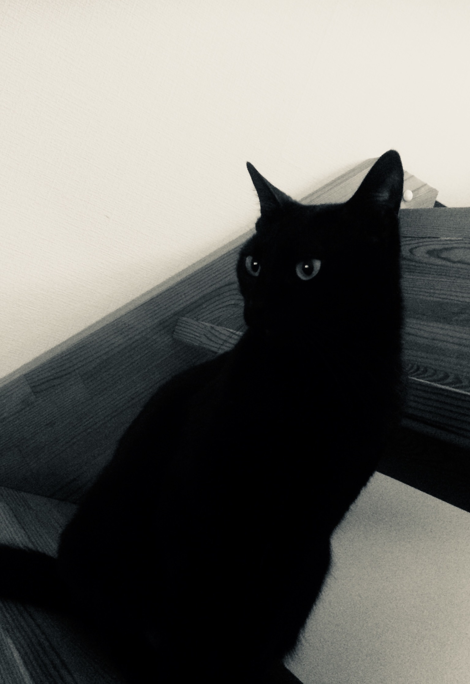 d0018868_12405993.jpeg
