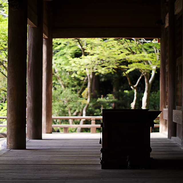 春の鎌倉散歩　妙本寺_d0367875_03500360.jpg