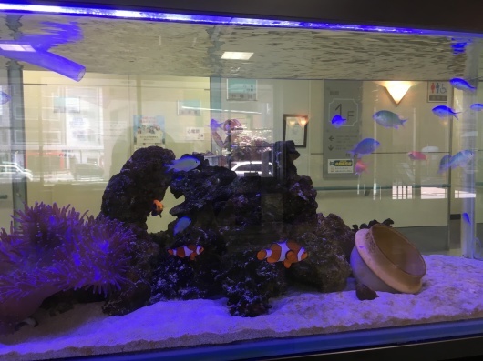 b0335376_13370019.jpeg