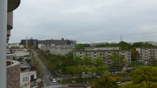 昨夜の夕食と　筍梅雨の一日_b0011578_15431755.jpg