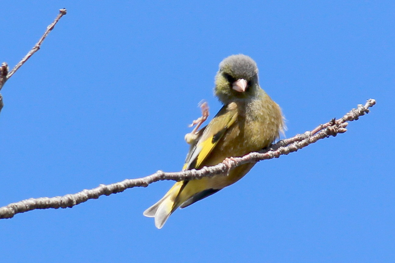 b0093678_11121670.jpg