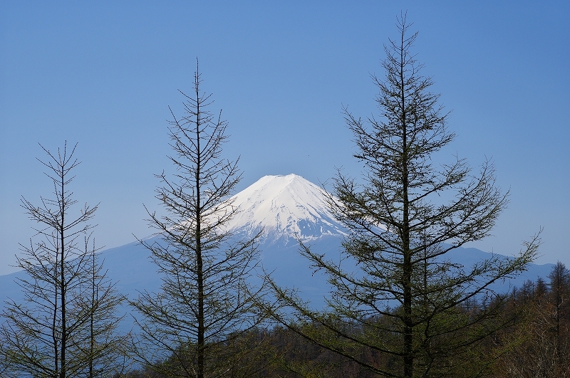 三ツ峠山_c0313080_11050635.jpg