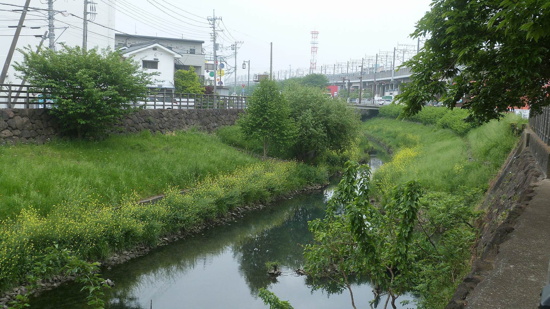 閑古に救い！ 泣き出しそうなカワセミ広場 【 2018　4/24（火) 】_a0185081_13501690.jpg