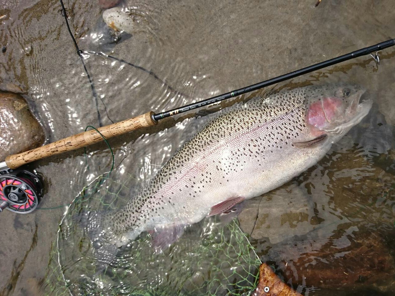 c0157482_10051475.jpg