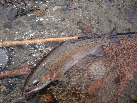 c0157482_10203833.jpg