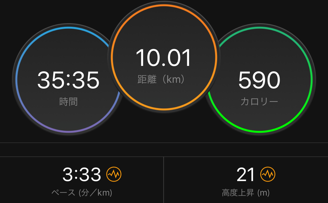 何だか上がってこない_f0310282_19234407.jpeg