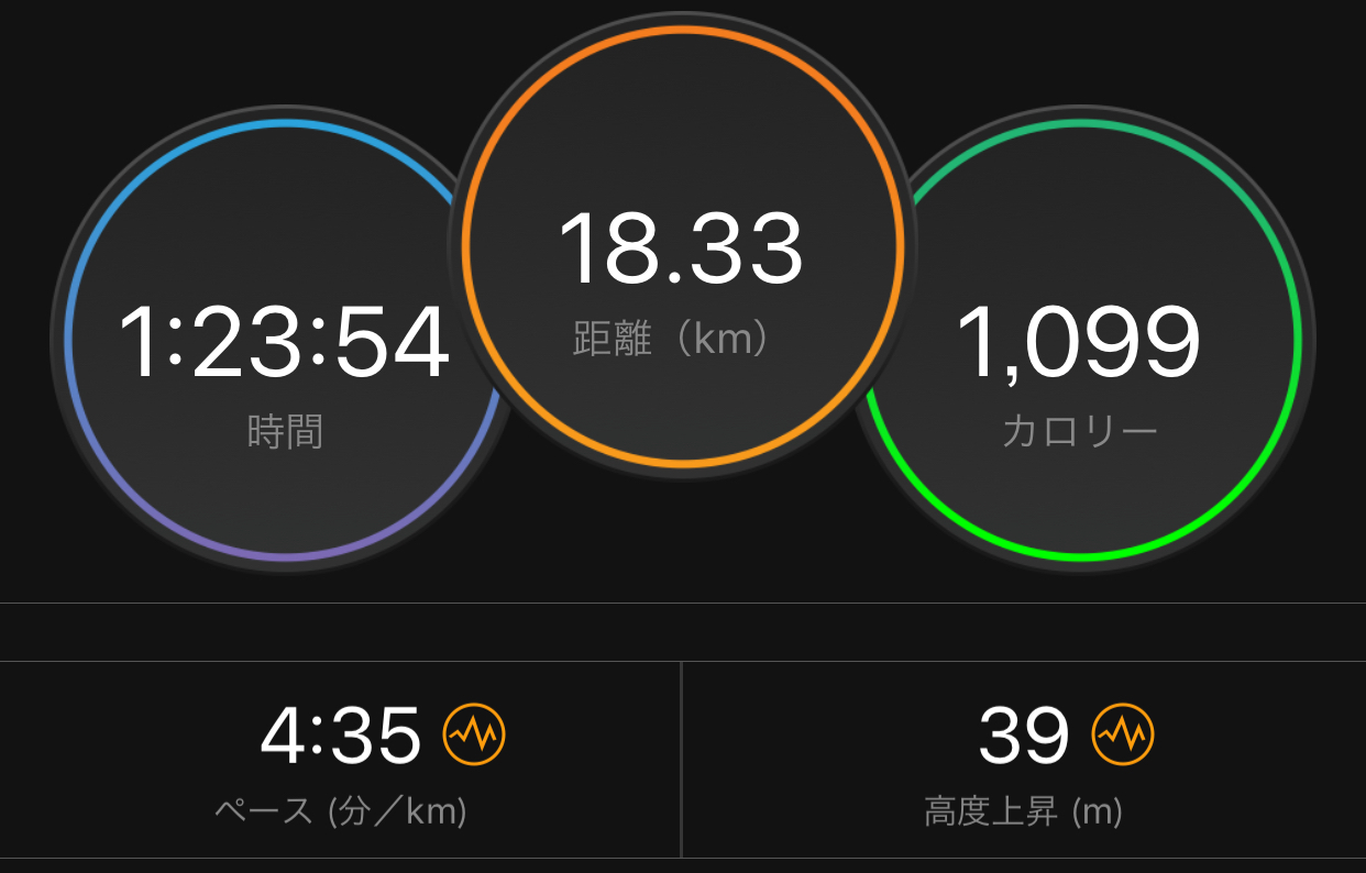何だか上がってこない_f0310282_19241356.jpeg