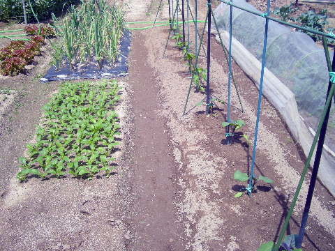 e0192788_10172290.jpg